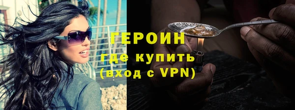 шишки Ельня