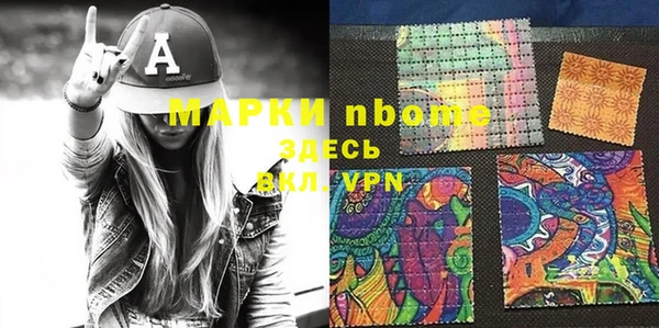 сатива Елизово