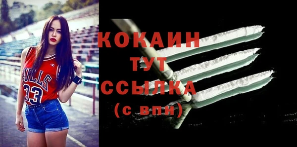 шишки Ельня