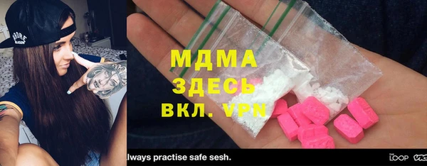шишки Ельня