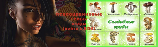 хмурый Тында