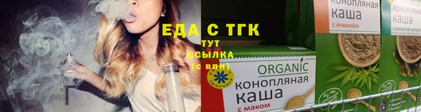 шишки Ельня