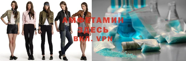 шишки Ельня