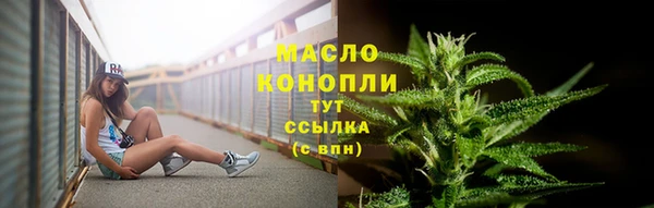 шишки Ельня