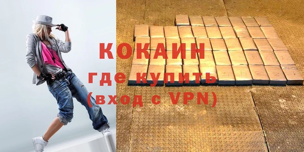 шишки Ельня