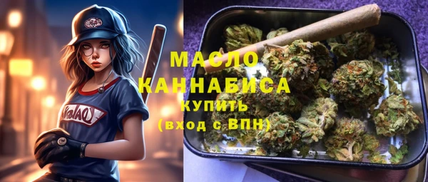 шишки Ельня