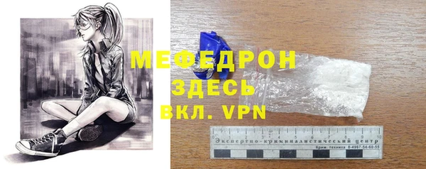 шишки Ельня