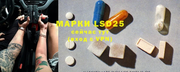 шишки Ельня