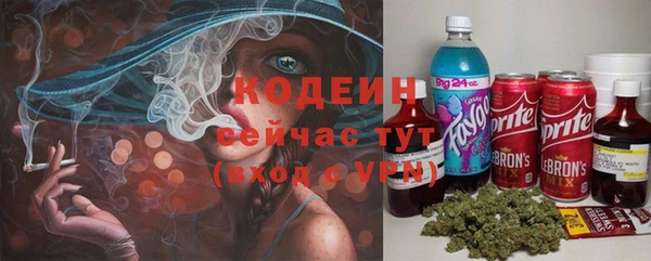 сатива Елизово
