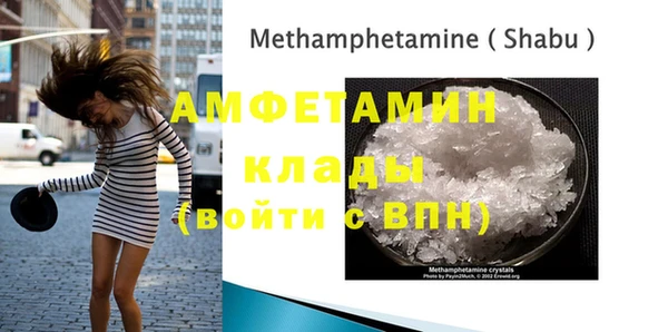 шишки Ельня