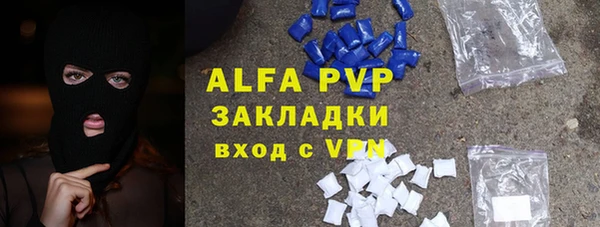 шишки Ельня