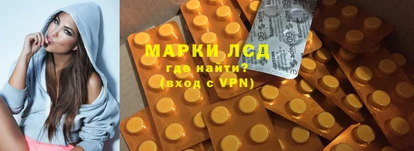 шишки Ельня